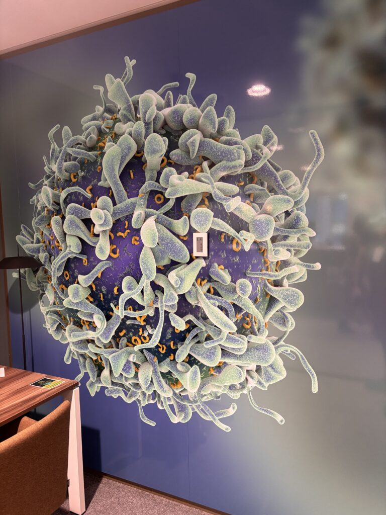 Sanofi Textielframe wandaankleding